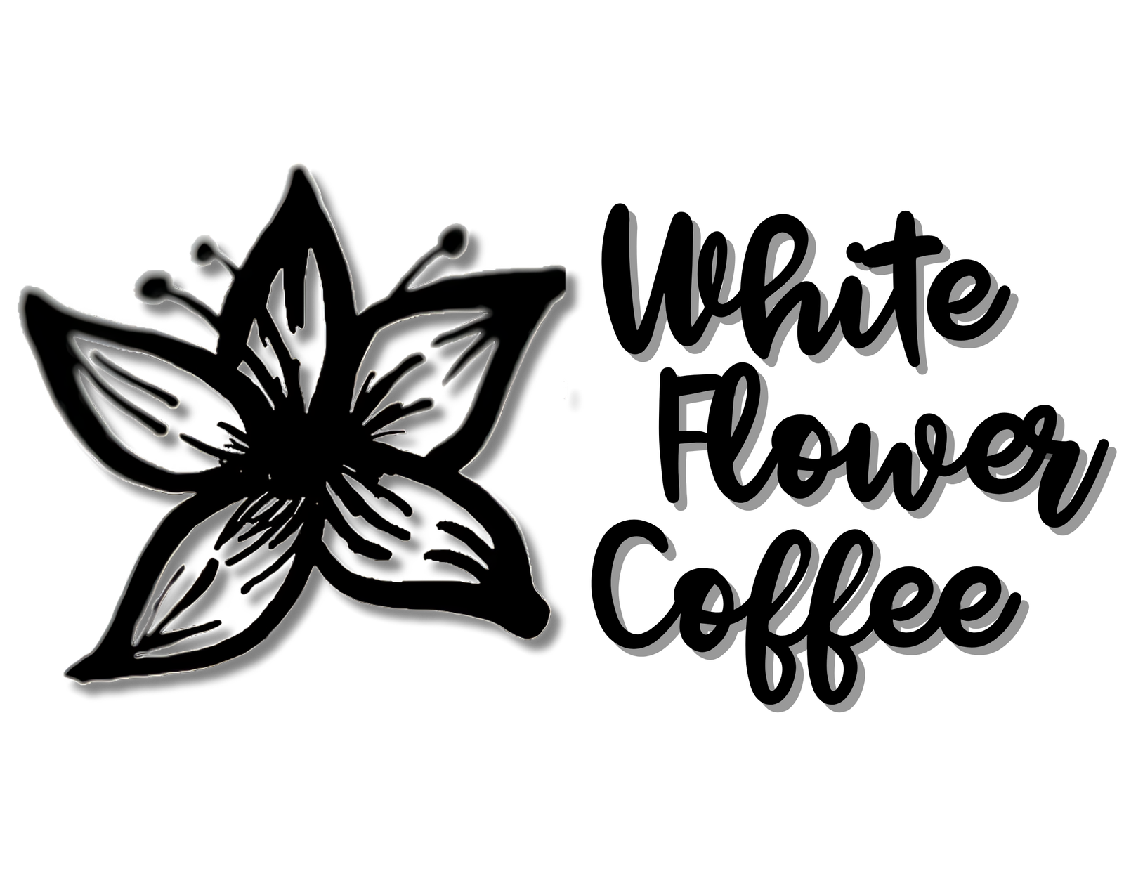 whiteflowercoffee.com